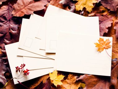 Parlak sonbahar yaprakları, üst görünüm, düz yatış, tonlanmış metin için temiz beyaz kartlar ile renkli sonbahar arkaplanı