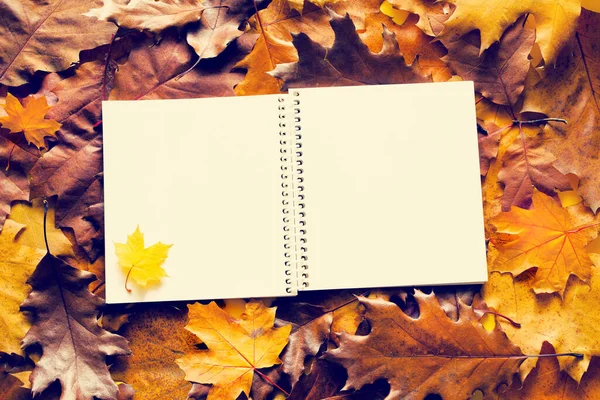 Fond Automne Coloré Carnet Ouvert Avec Pages Blanches Vierges Pour — Photo