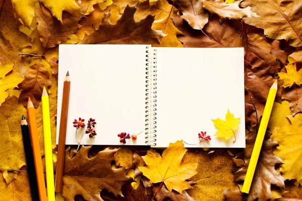 Renkli sonbahar arkaplanı. Metin için boş beyaz sayfalar, parlak sonbahar yaprakları üzerinde renkli kalemler, üst görünüm, düz yatış.