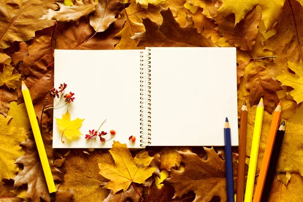 Fond Automne Coloré Carnet Ouvert Avec Pages Blanches Vierges Pour — Photo