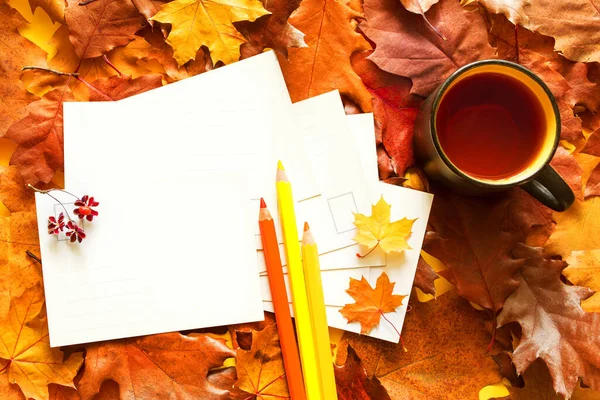 Sonbahar hala hayattır. Metnin için temiz beyaz kartlarla renkli sonbahar arkaplanı ve bir fincan çay, parlak sonbahar yaprakları üzerinde renkli kalemler, üst manzara, düz yatış.