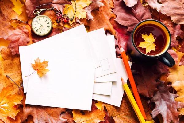 Fond Automne Coloré Avec Des Cartes Blanches Propres Pour Votre — Photo