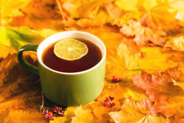 Sonbaharda yeşil fincanda çay ve limon, parlak sarı yapraklar. Sonbahar arkaplanı