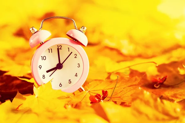 Herbst Hell Hintergrund Mit Gelben Ahornblättern Und Rosa Wecker Kopierraum — Stockfoto