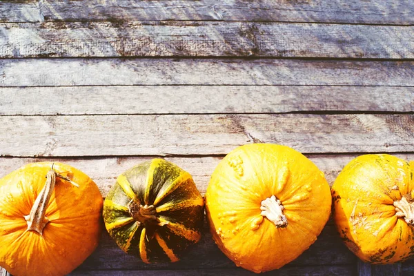 Yellow Fresh Pumpkins Old Wooden Surface Copy Space Top View — Stock Photo, Image