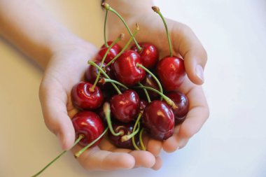 Ellerinde olgun, nefis kirazlar. Parlak arkaplan, Clouse yukarı.