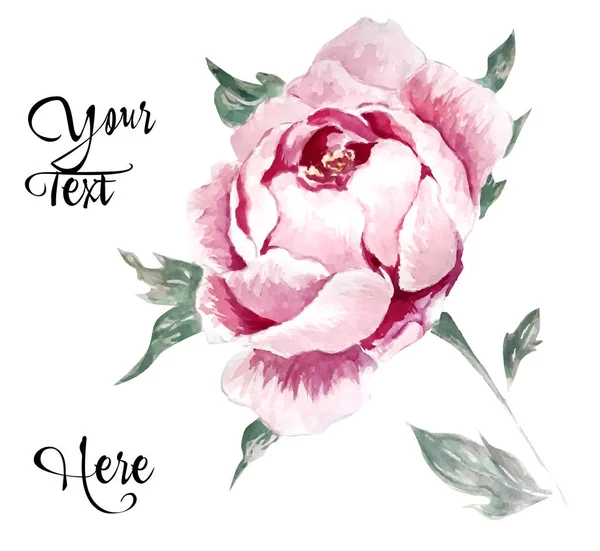 Illustration Mit Blumen Schöne Rose Aquarell Stil — Stockvektor