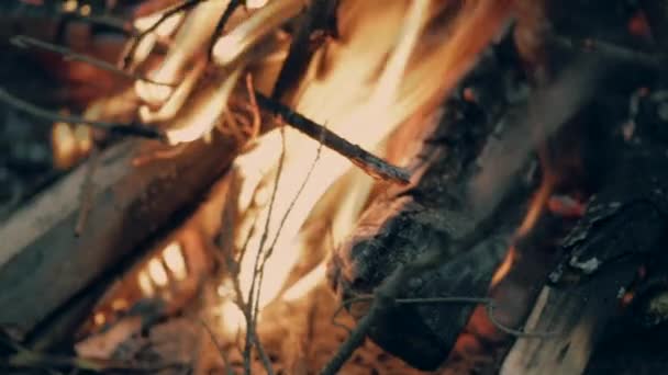 feux de joie flammes de forêt brûlant 