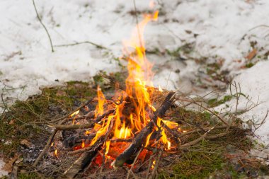 Şenlik ateşi yangın orman yanan alevler