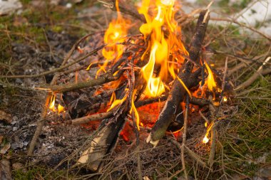 Şenlik ateşi yangın orman yanan alevler
