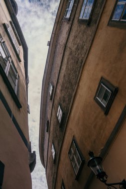 Viyana Avusturya Street evi Belediye Binası