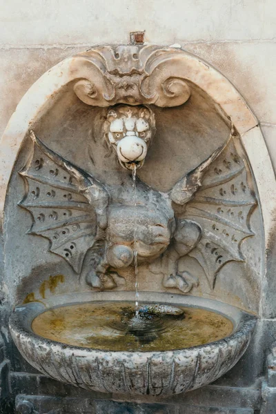 Roma İtalya çeşme su Dragon