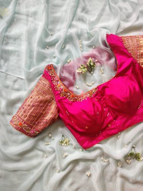 Sari giymiş kadınlar için eşsiz tasarımcı bluzları.