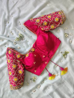 Sari giymiş kadınlar için eşsiz tasarımcı bluzları.