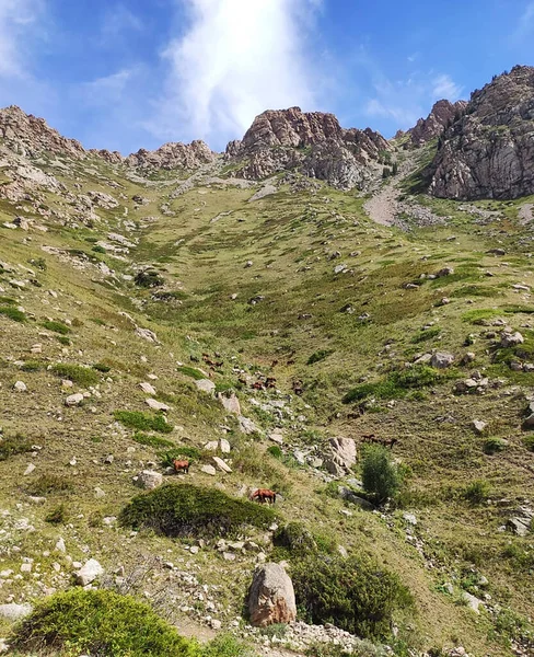 Dzungar Alatau 'nun güzel manzarası