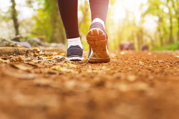 Frau Läuft Langlauf Und Loipen Herbstwald — Stockfoto