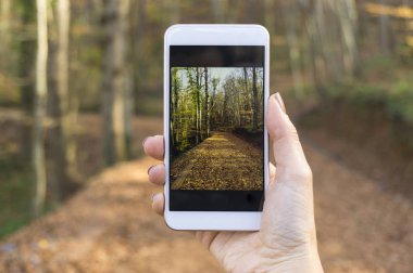 Doğa ile akıllı telefon fotoğraf çekici.