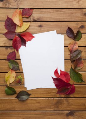 Sonbaharda yapraklar ve masadaki teknik incelemeler