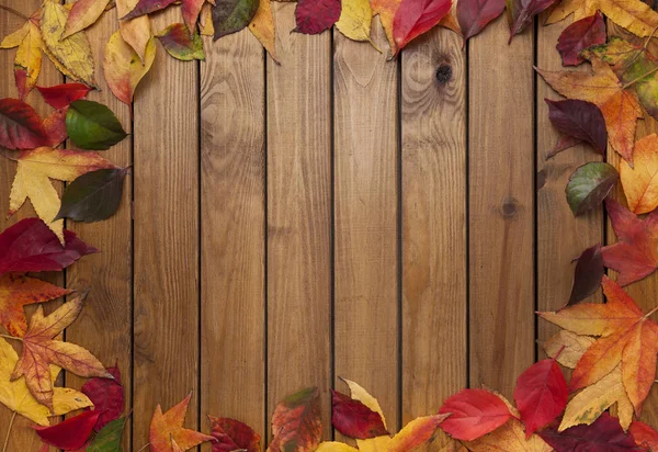 Autumn leaves frame over wooden background — Stock Photo, Image