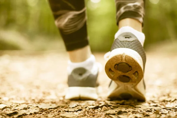 Young fitness female ready for run on forest trail — 스톡 사진