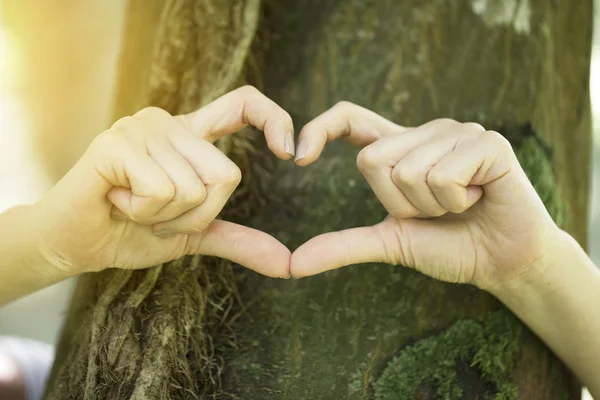 Heart shape for the nature — Stock Photo, Image