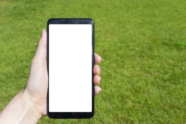 Hand hålla blank skärm smart telefon i parken — Stockfoto