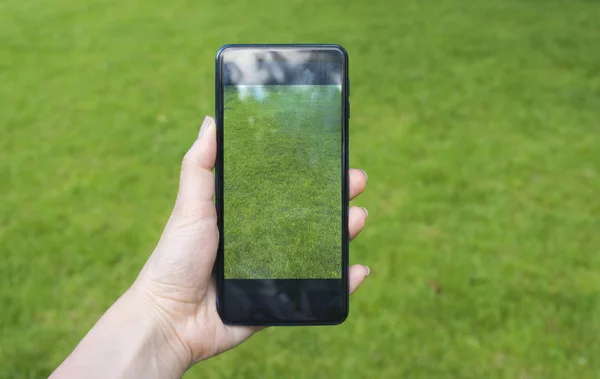 公園で緑の草の画面スマートフォンを保持手 — ストック写真
