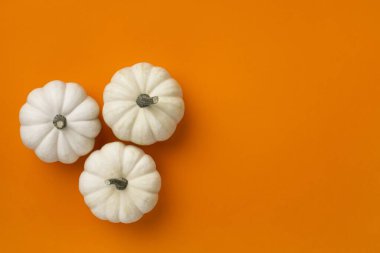 Cadılar bayramı konseptin kutlu olsun. Turuncu arka planda beyaz balkabakları. Fotokopi alanı olan Cadılar Bayramı partisi tebrik kartı modeli. Düz yatıyordu, üstten, yukarıdan..