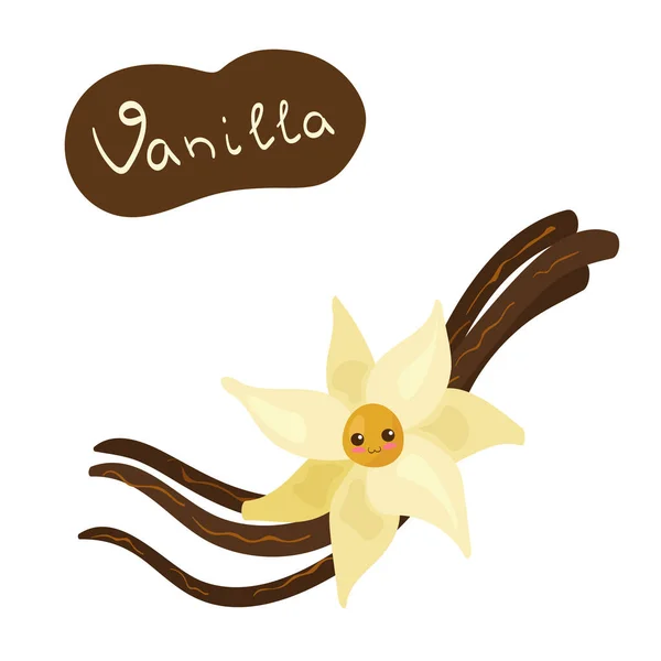 Kawaii Vanilla Personaje Vector Flor Aislado Sobre Fondo Blanco Divertida — Archivo Imágenes Vectoriales