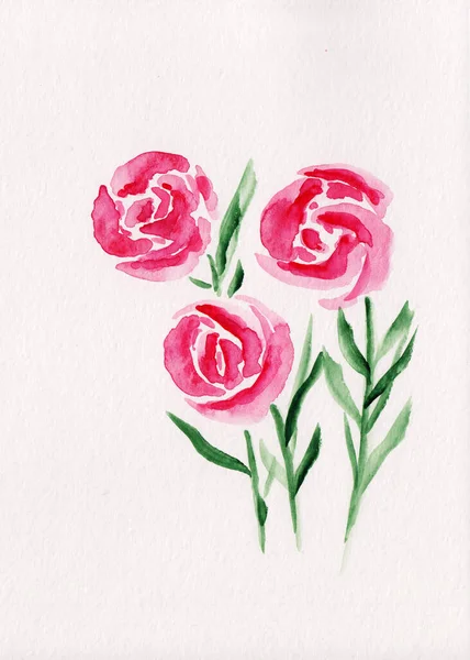 水彩花和树叶图解在松散的风格 用于卡片 邀请函 印刷品 婚礼装饰 纸上的植物图解 五彩缤纷的粉红色玫瑰和绿叶古色古香素描 — 图库照片