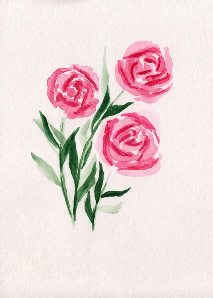 水彩画松软的粉色和红色的牡丹和树叶插图 用于卡片 纺织品 印刷品 婚宴请柬等 纸上的植物图解 多彩的玫瑰和绿叶手绘素描 — 图库照片