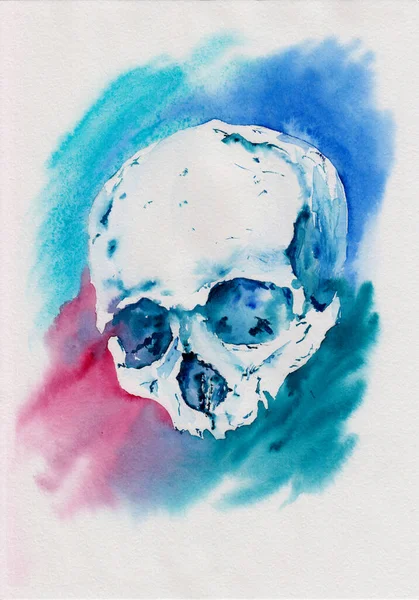 색깔이 두개골 예술적 두개골 스케치를 그렸다 티셔츠 디자인 이발소 포스터 — 스톡 사진