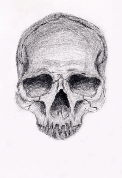 Desenho Crânio Artístico Desenhado Mão Grande Pintura Conceitual Para Design — Fotografia de Stock