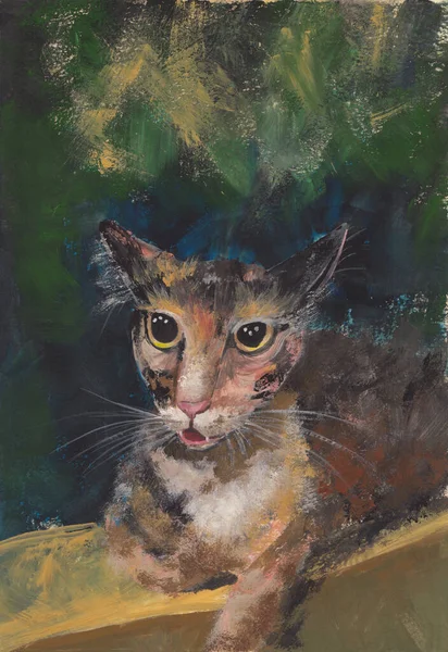 Рисунок Акриловых Набросков Молодой Азиатской Кошки Изображение Бумаге Милый Мяуканье — стоковое фото