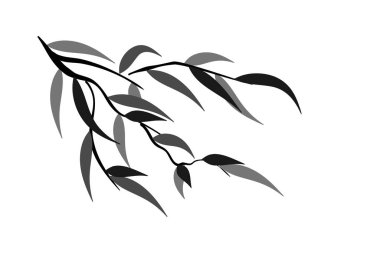 Beyaz arkaplanda yaprakları izole edilmiş dalların vektör çizimi. Elle çizilmiş doğu tarzı sakin bir manzara. Dekorasyon, rahatlama, meditasyon kavramı. Asya stili minimalist sanat eserleri.
