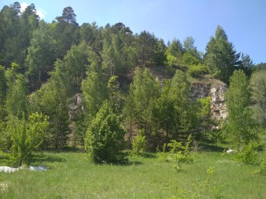 Samarskaya Luka Milli Parkı