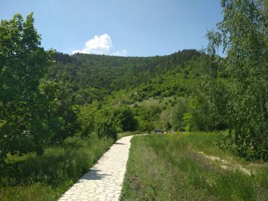 Samara Luka doğa rezervi