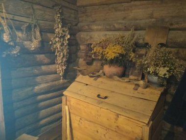 Samara Luka Doğa Koruma Alanındaki Repin Müzesi