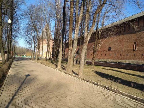 Wandelen Ochtend Smolensk — Stockfoto