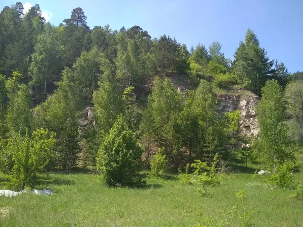 Samarskaya Luka Milli Parkı