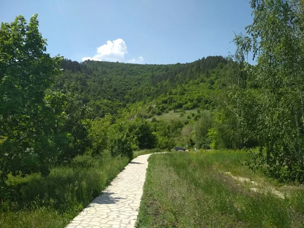 Samara Luka doğa rezervi