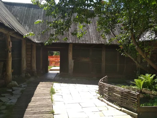 Musée Résine Dans Réserve Naturelle Samara Luka — Photo