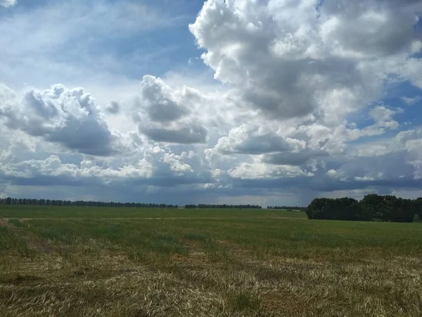 Campo Nuvens Rússia — Fotografia de Stock