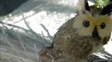 Baykuş kuklasının yakın çekimi