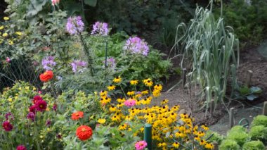 Renkli bahçe çiçekleri ve sebzeler