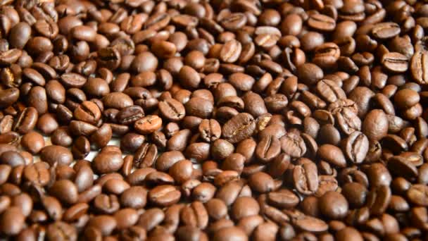 咖啡豆 背景质感 — 图库视频影像