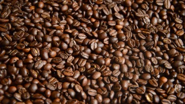 Coffee Beans Closeup Background Texture — Stock Video