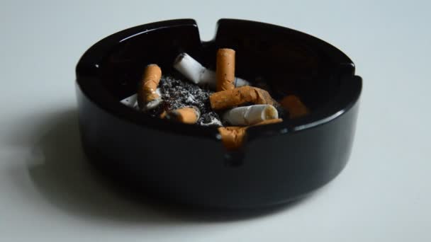 在白色背景下吸烟 — 图库视频影像