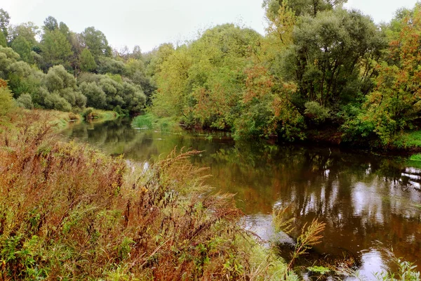Річка Восени Деревами — стокове фото
