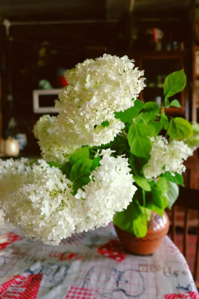 Blumenstrauß Einer Keramikvase — Stockfoto